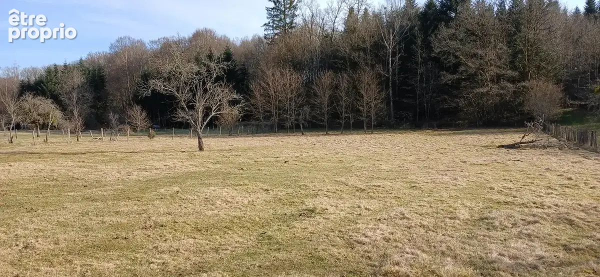 La clé des champs aux 1000 étangs - photo 2
