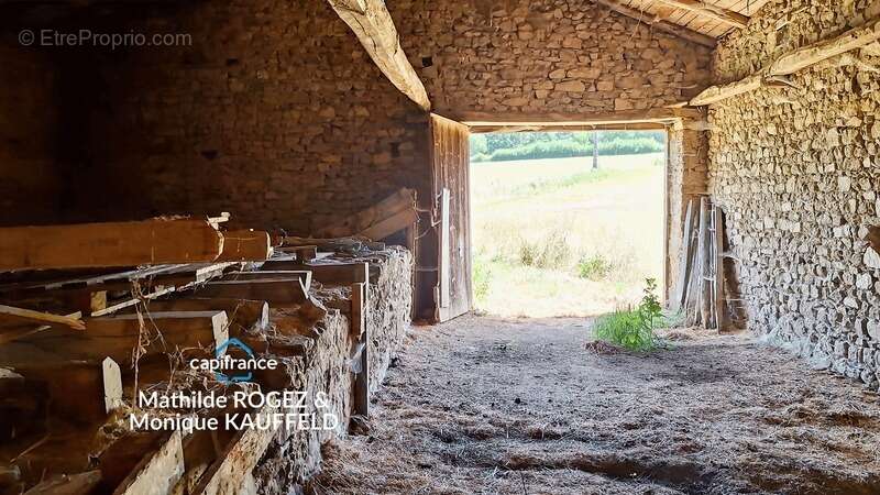 Maison à rénover avec grange en pierre, source et 7 000 m² de terrain - Saint Gervais Sous Meymont (63) - photo 13