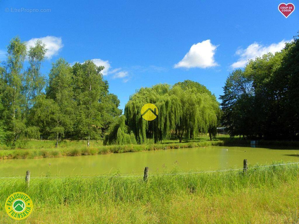 Terrain à SAVIGNY-EN-SANCERRE