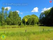 Terrain à SAVIGNY-EN-SANCERRE