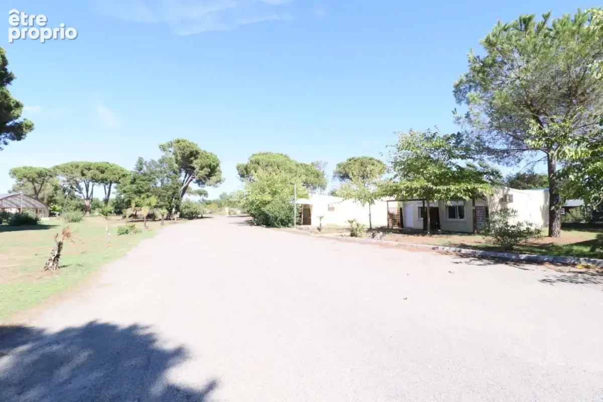 Corse, Bungalow au bord de la mer, CASTELLARE DI CASINCA (2b) - photo 12