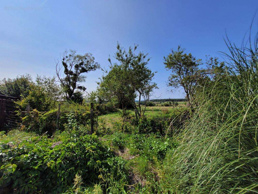 FERMETTE  de plain-pieds 100 m2 et 8000M m2DE TERRAIN - PRUSY 10 - photo 3