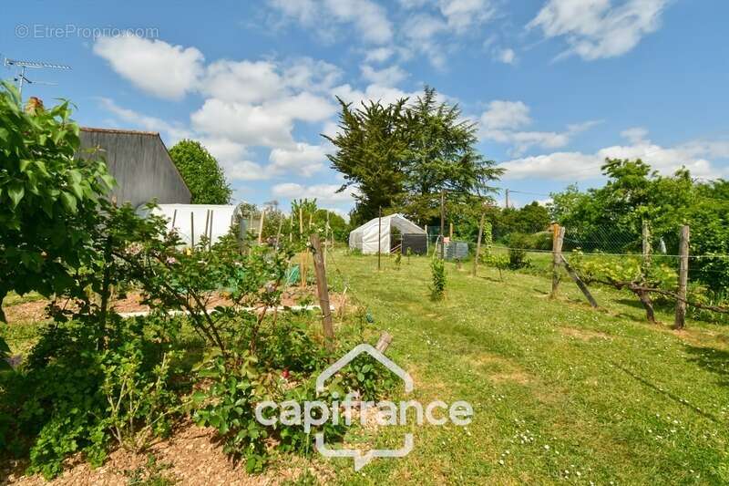 Maison à vendre de plain pied 5 pièces SAINT JEAN D'ANGELY (17) sur une parcelle de 1012m² - photo 14