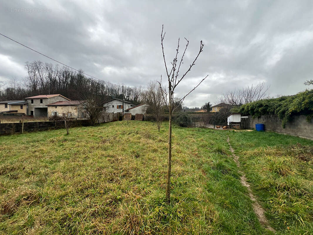 Maison à VILLIEU-LOYES-MOLLON