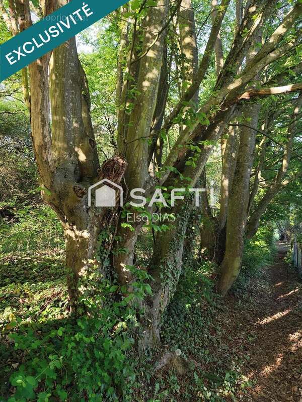 Photo 6 - Terrain à CHATEAU-THIERRY