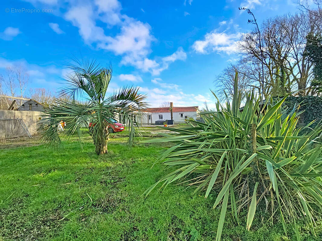 Maison à SAINT-HILAIRE-DE-RIEZ