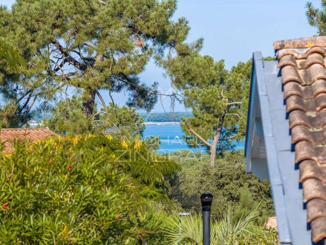 Maison à LE BOUSCAT