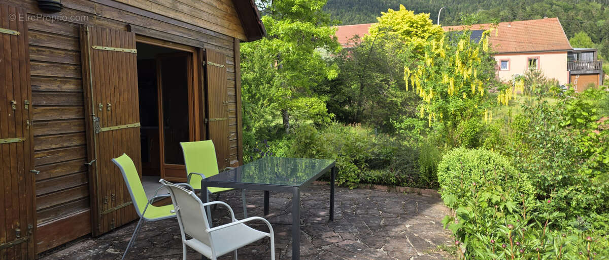 Plaine, chalet cosy au calme, en lisière de forêt, coup de coeur absolu ! - photo 4