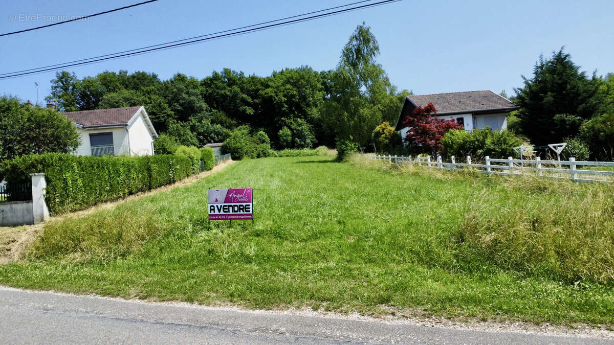 Terrain à ROCHEFORT-SUR-NENON