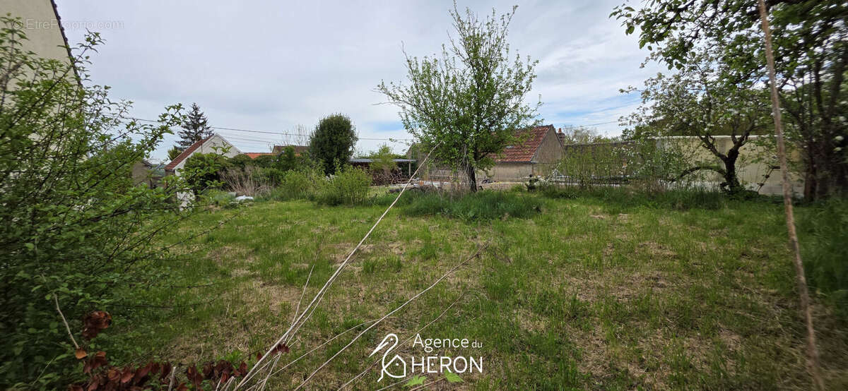Photo 6 - Terrain à CHAMPIGNY