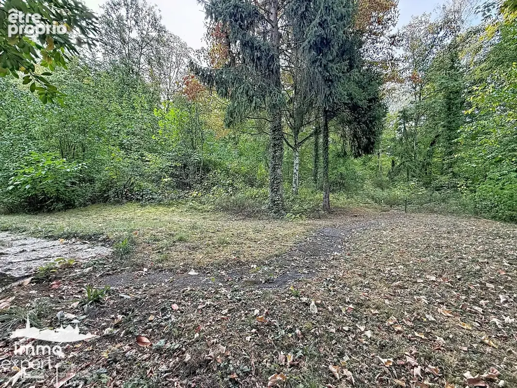 MIRECOURT   Maison familiale sans vis-à-vis avec jardin arboré et garage - photo 22