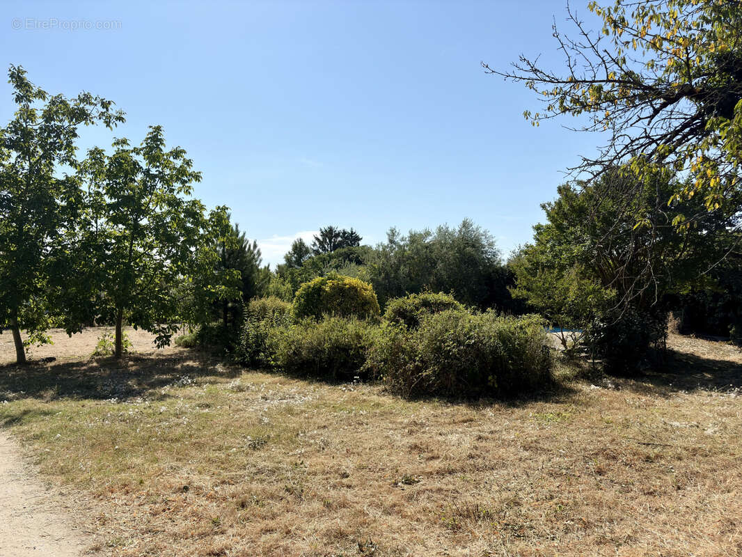 Terrain à TOURNON-SUR-RHONE