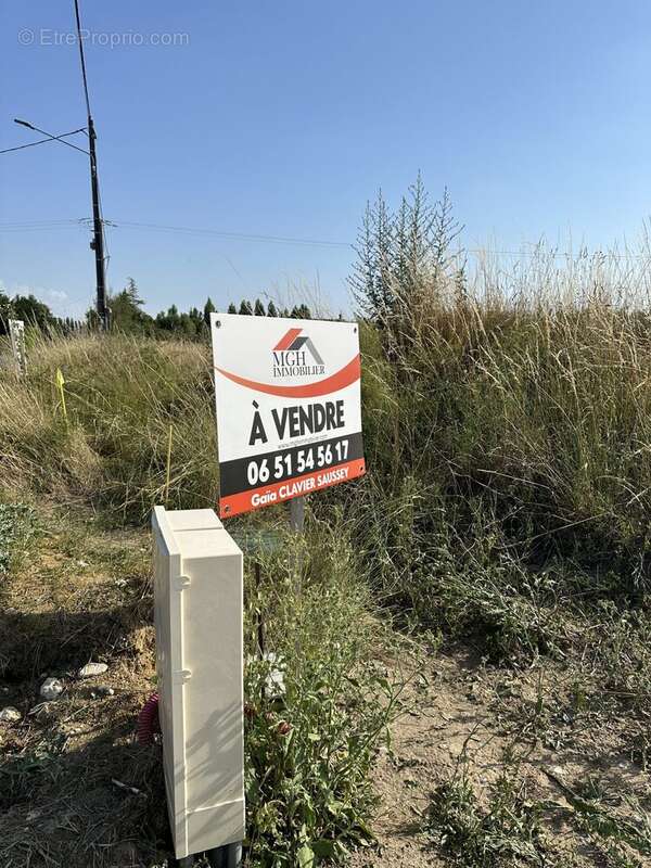 Terrain à LA COUR-MARIGNY