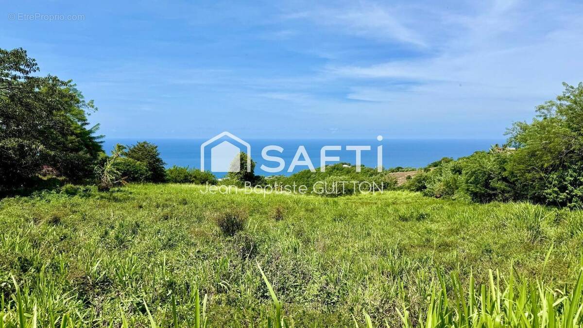 Photo 1 - Terrain à LE CARBET