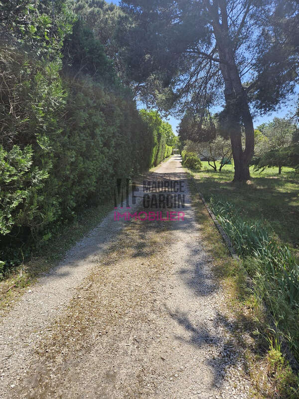 Maison à MORIERES-LES-AVIGNON