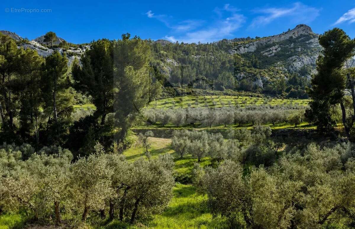 Maussane-les-alpilles / propriété de maître - photo 44