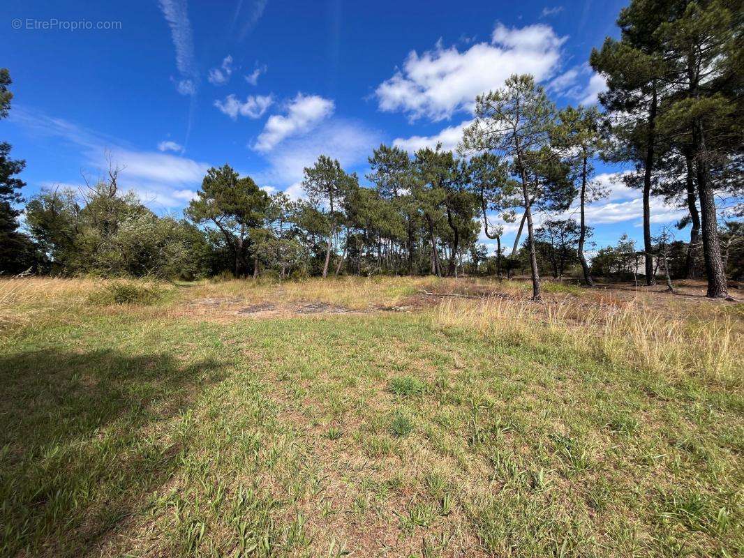 Terrain à LES ASSIONS