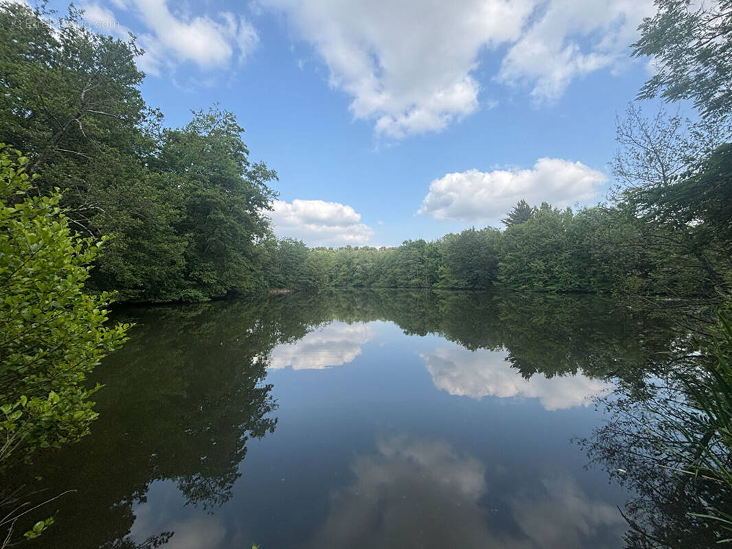 Terrain à BELLEFONDS