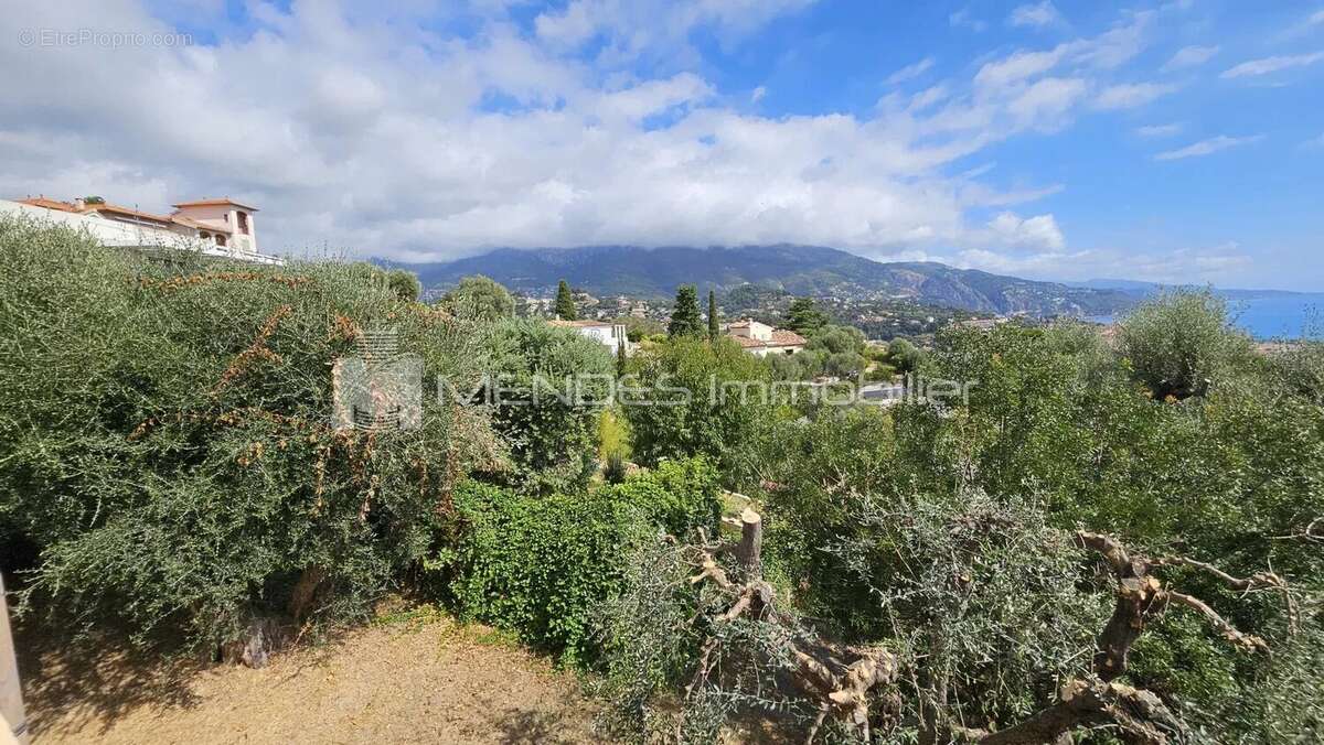 Villa eblouissante quartier madone a menton - photo 40