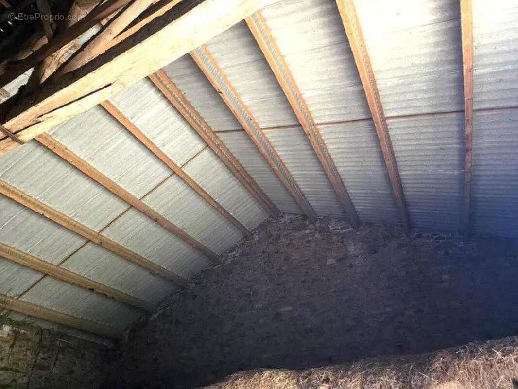 Photo 5 - Maison à BUSSIERE-POITEVINE