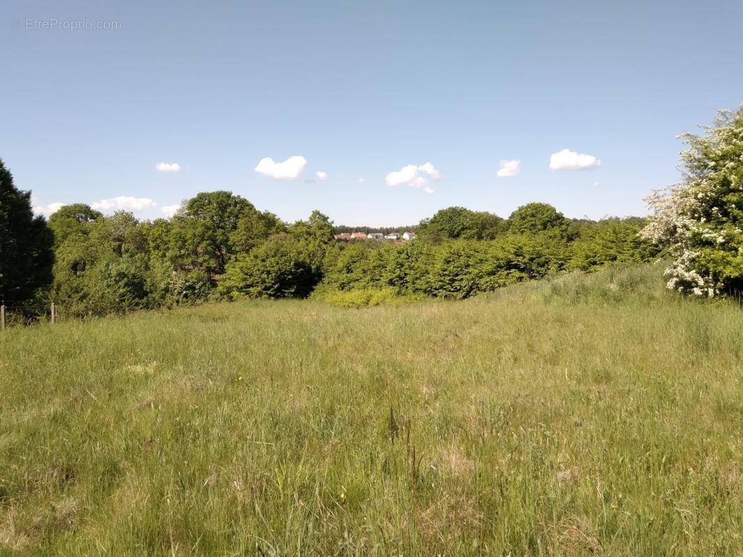 Terrain à NEUVILLERS-SUR-FAVE