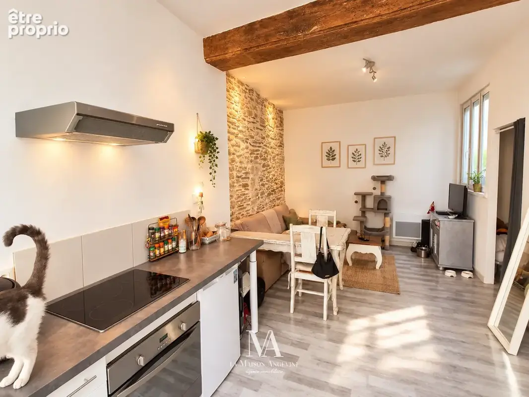 Investissement locatif   maison de caractère   2 appartements   dpe c   sans copropriété - photo 2