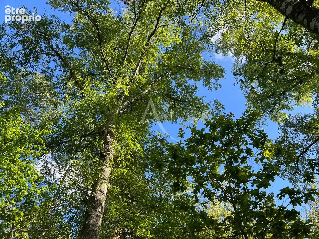 Chalet à rénover avec terrasse et puit au bord du lac d'Aydat dans un parc arboré. - photo 3