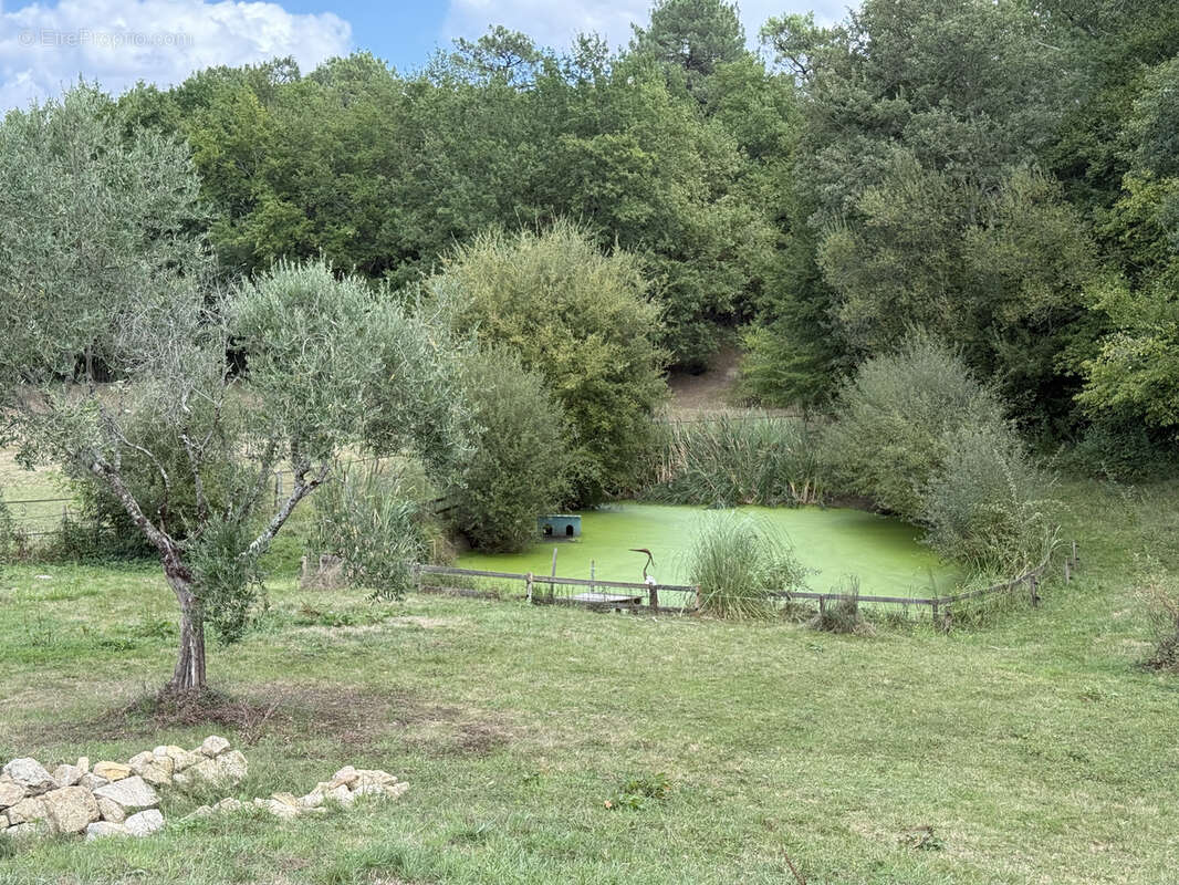 Maison à SAUVETERRE-DE-GUYENNE