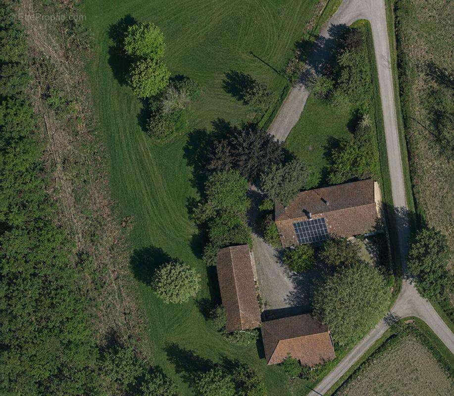 82130, Lafrançaise -  Maison / Fermette isolée  242 m² , 7 p., 4 ch. ,  sur terrain de près de 1Ha. avec 4hA supplémentaires en  - photo 2
