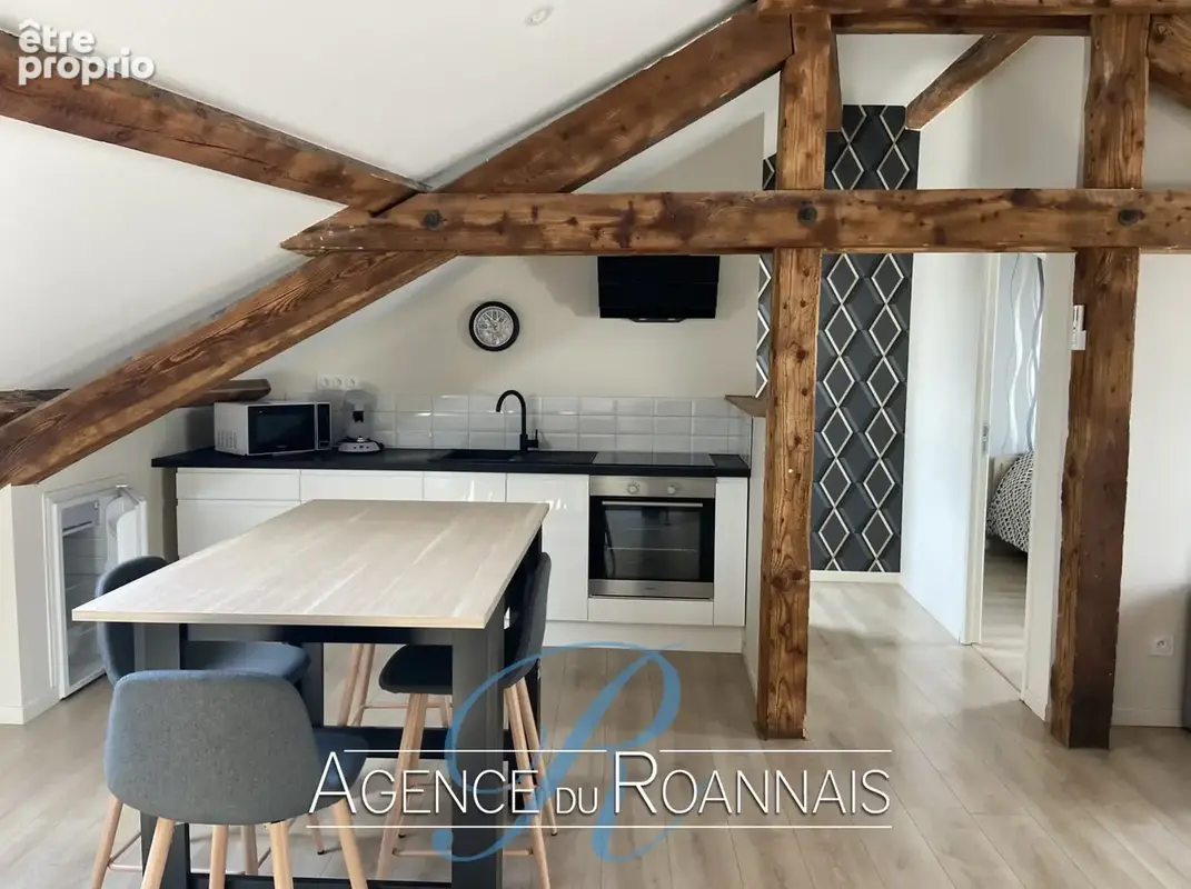 Appartement de Type 2 à vendre à ROANNE au dernier étage d'une petite copropriété entièrement rénové - photo 3