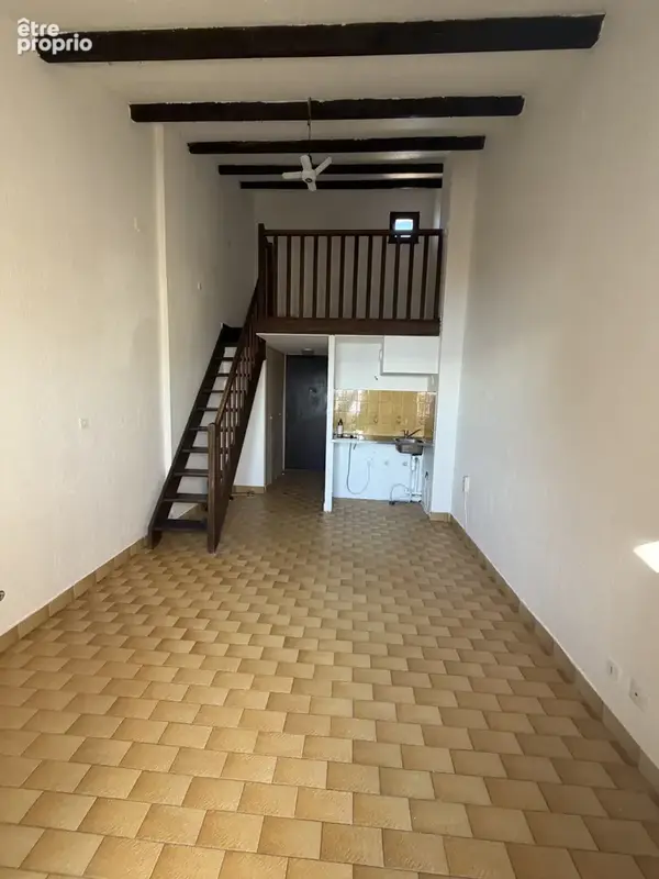 T1 vue étang - photo 6