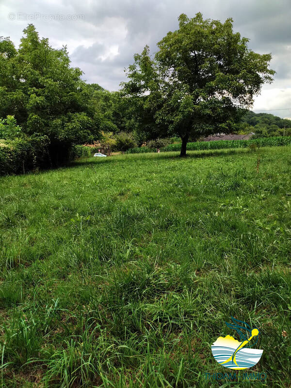 Terrain à ARROS-DE-NAY