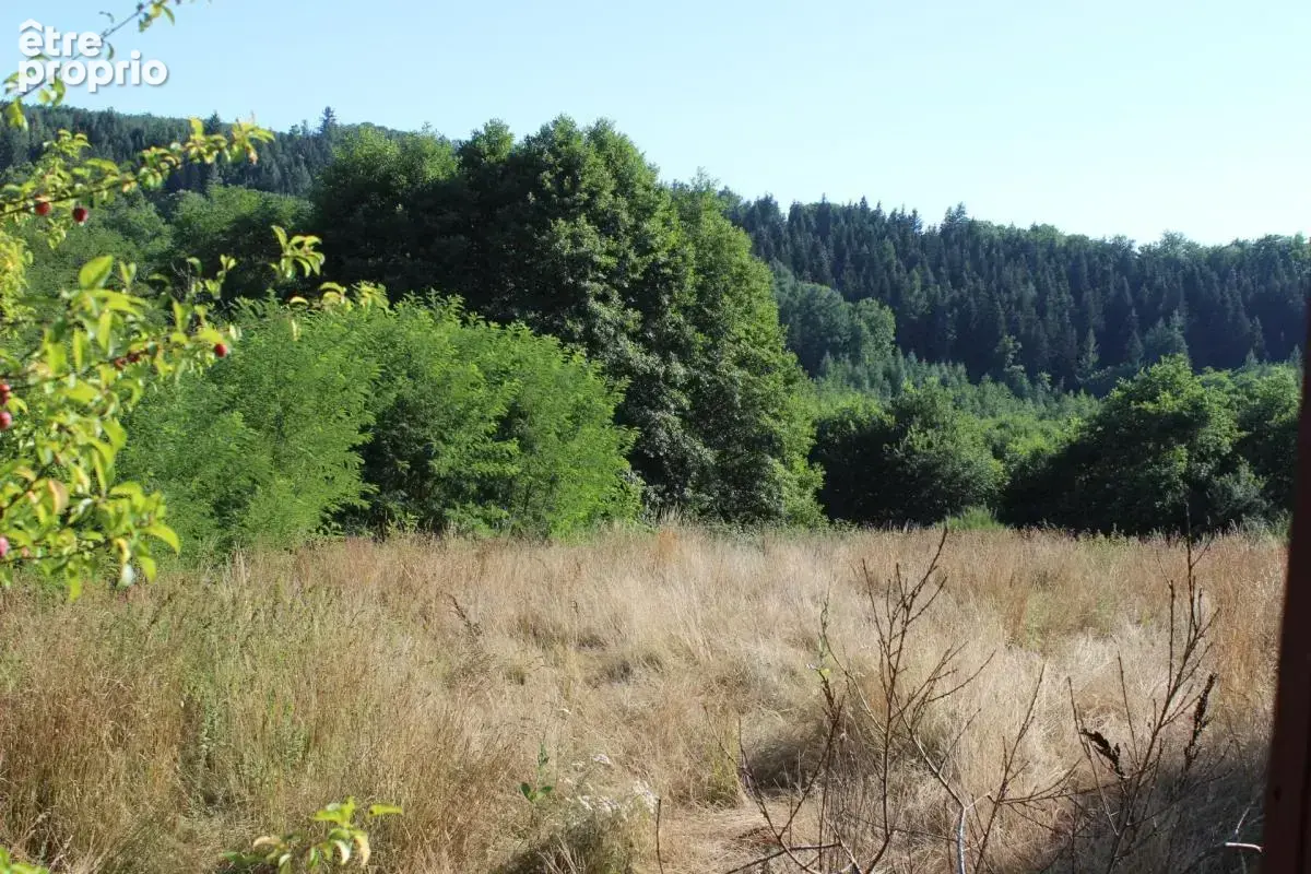 Maison en pierres- Pleine nature avec ruisseau - photo 3