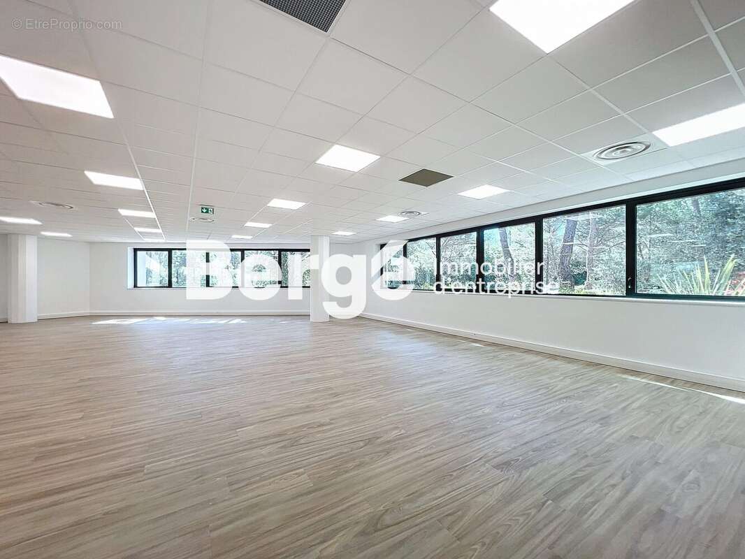 Commerce à VALBONNE