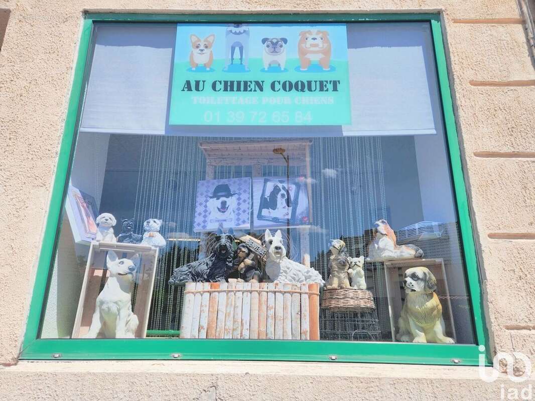 Photo 3 - Commerce à CONFLANS-SAINTE-HONORINE