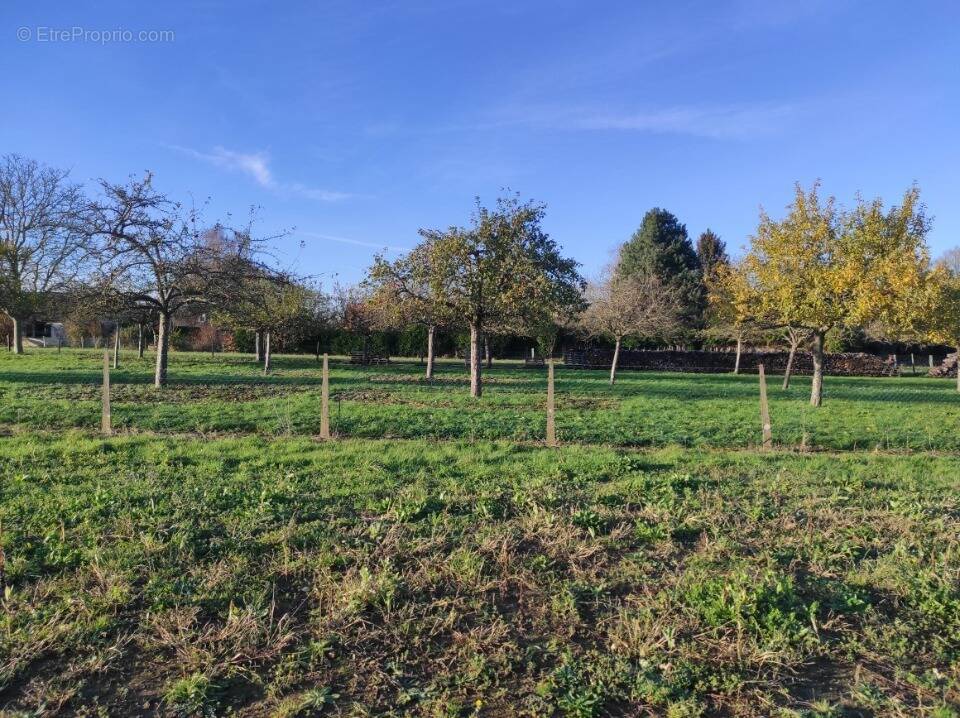 Terrain à LA HAYE-MALHERBE