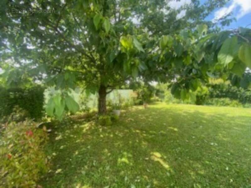 Maison à L&#039;ORBRIE