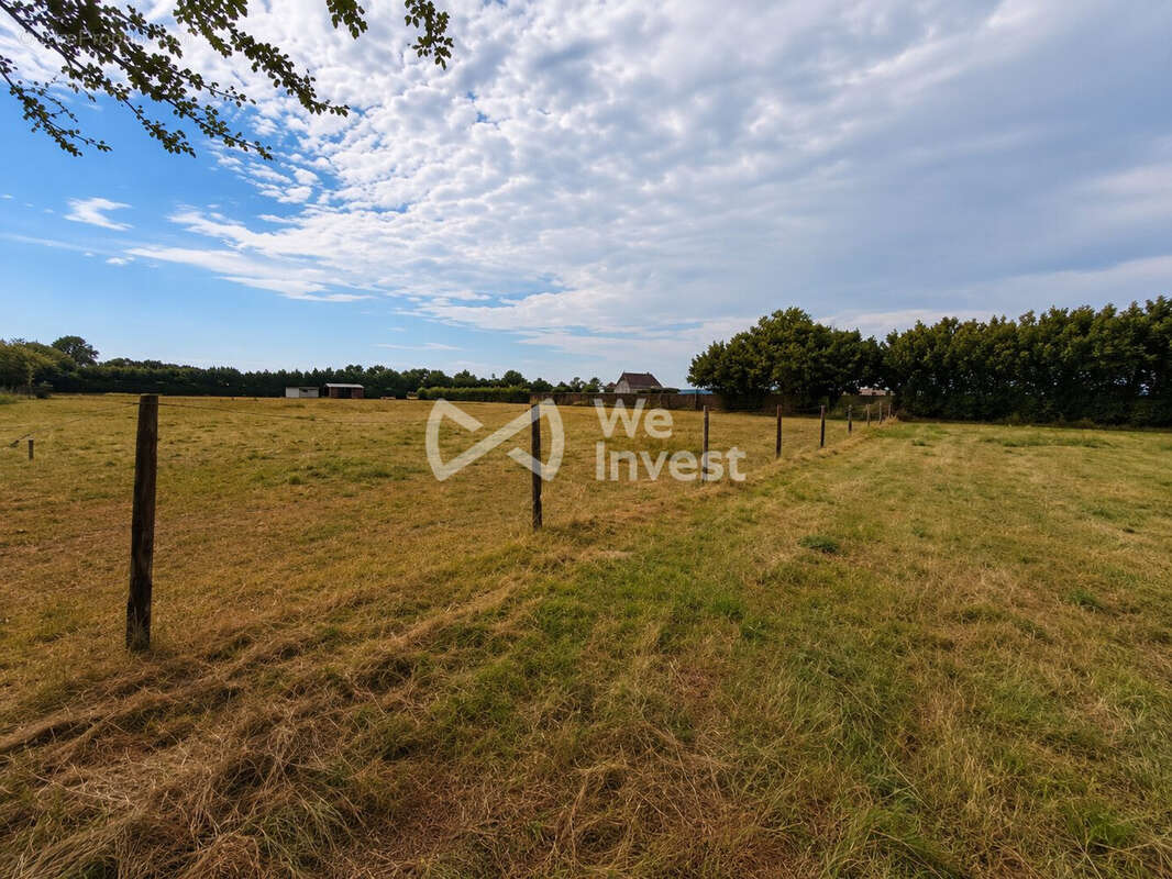 Terrain 11 864 m² à vendre à Regniowez (08230) - photo 9