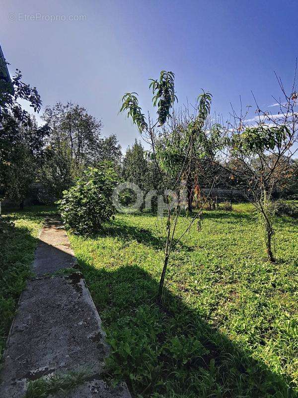 Maison à BOUZANCOURT