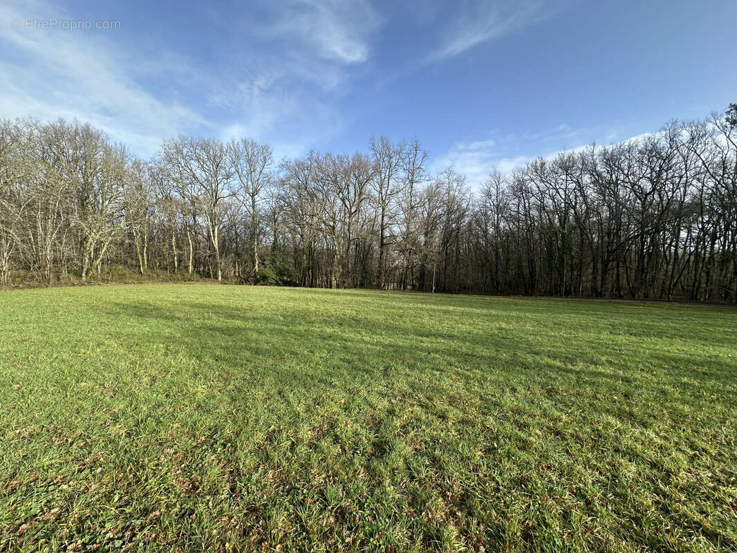 Terrain à SAVIGNAC-DE-DURAS