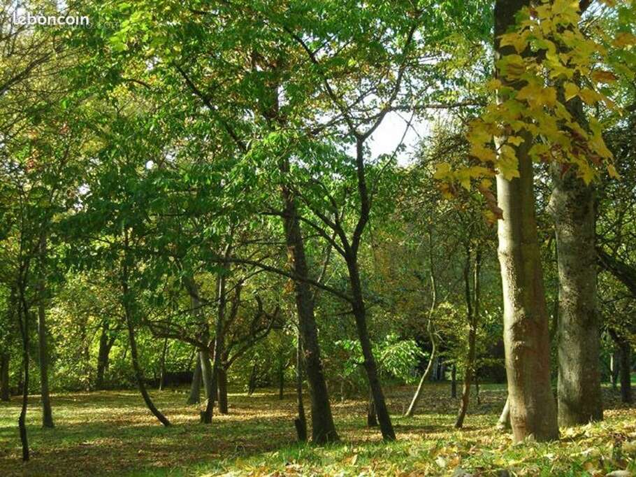 Terrain à LANEUVEVILLE-DEVANT-NANCY