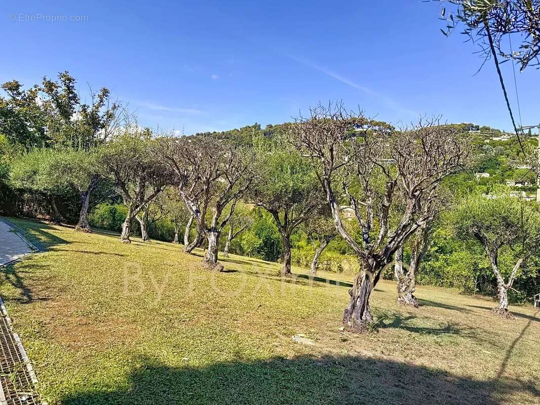 Villa de caractere vue panoramique sur Saint-Paul-de-Vence – 370 m² , piscine, terrain 2000m2, calme - photo 25