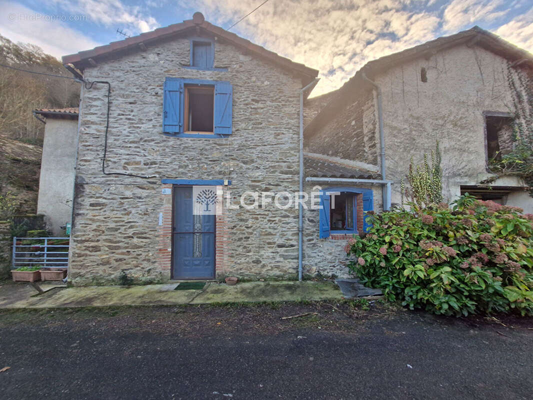 Ambialet - Maison en pierre à rénover - photo 18