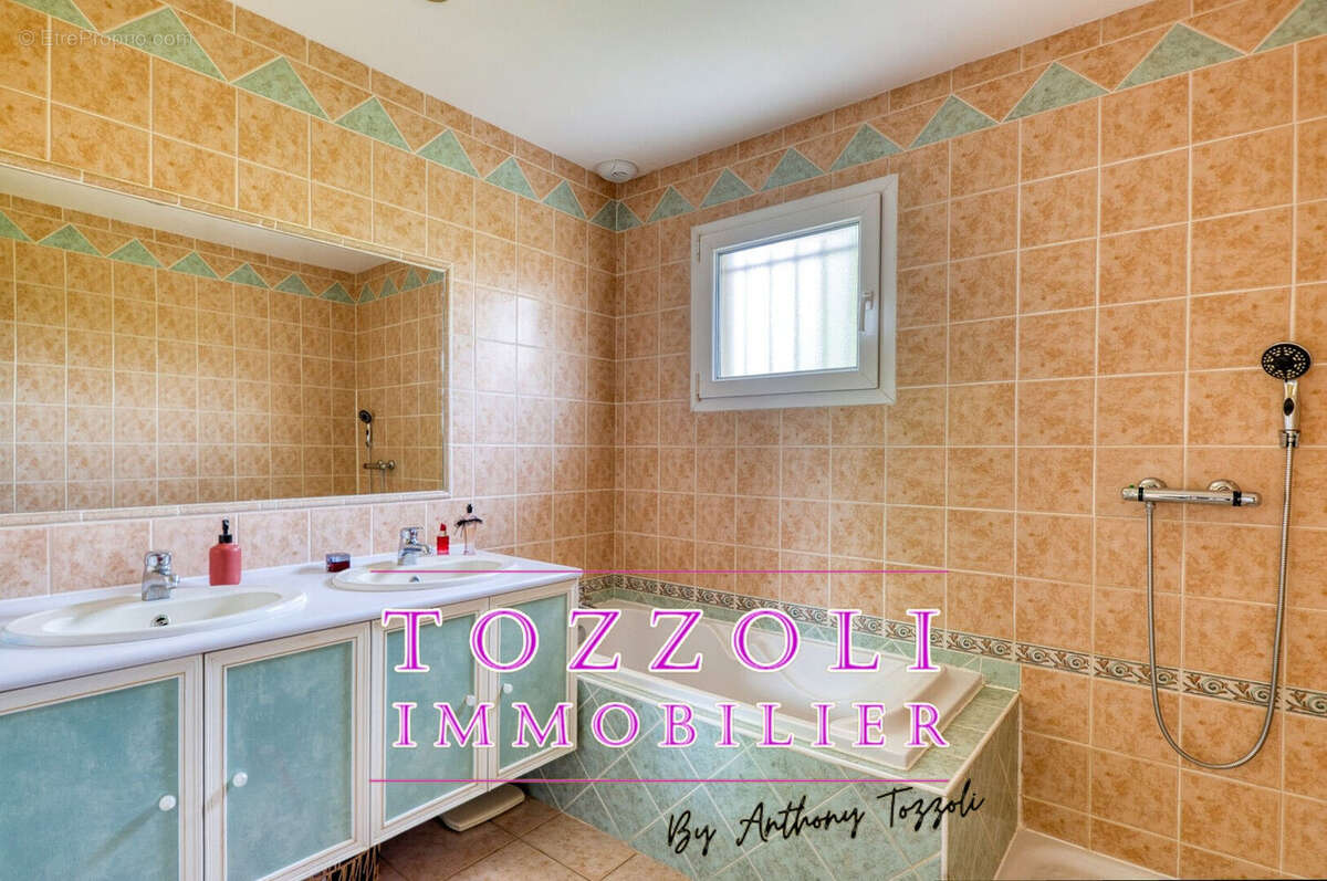 Maison à SAVAS-MEPIN