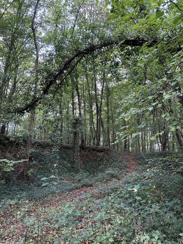 Terrain à RECLINGHEM