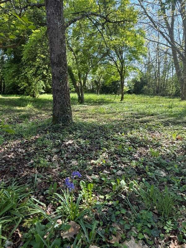 Maison à FRESSELINES