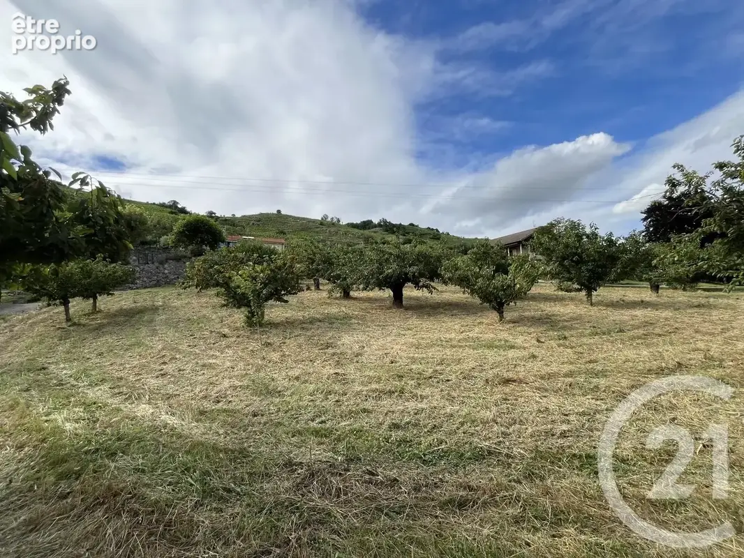 Terrain 2 215 m² à vendre à Saint-Desirat (07340) - photo 8