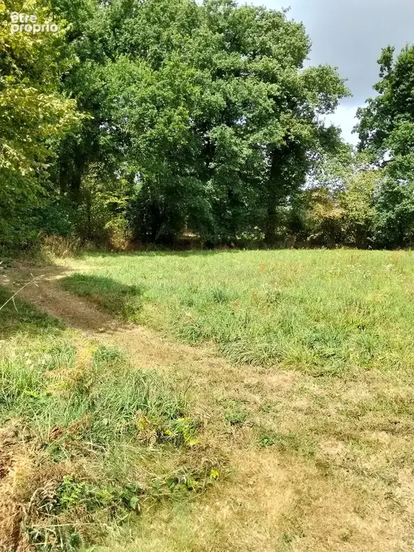 Rare : Terrain constructible de 1358 m² dans un cadre verdoyant - CHATEAUNEUF DU FAOU (29) - photo 2