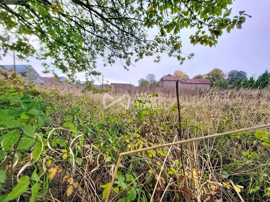 Terrain à MONDREPUIS