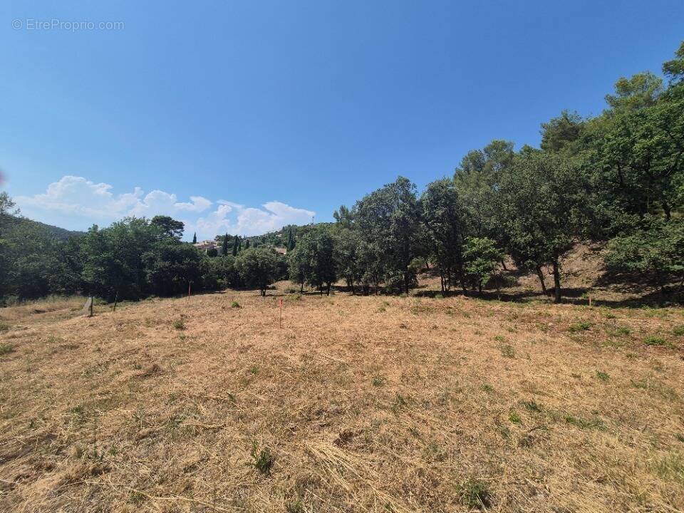 Terrain à TARADEAU